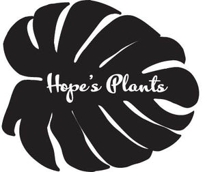 Hopes Plants